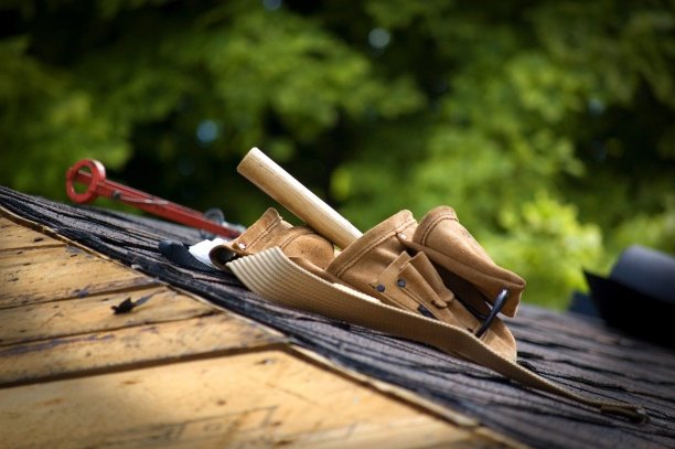 green-roofing-installation Experts in Avenel